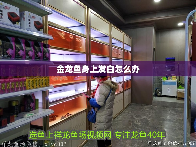 金龍魚身上發白怎么辦