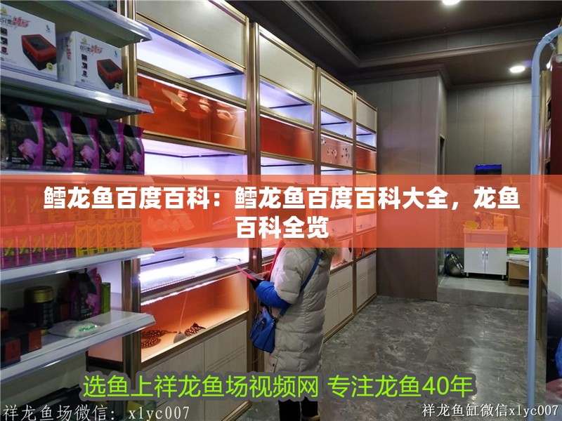 鱈龍魚百度百科：鱈龍魚百度百科大全，龍魚百科全覽