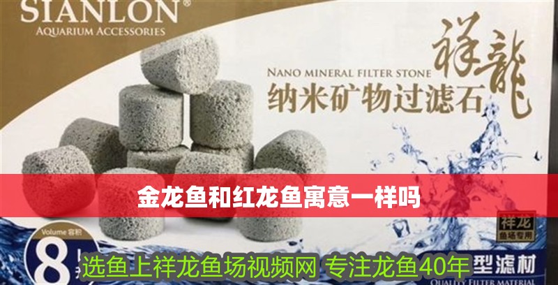 金龍魚和紅龍魚寓意一樣嗎