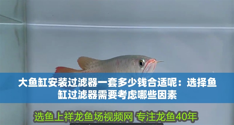 大魚缸安裝過濾器一套多少錢合適呢：選擇魚缸過濾器需要考慮哪些因素