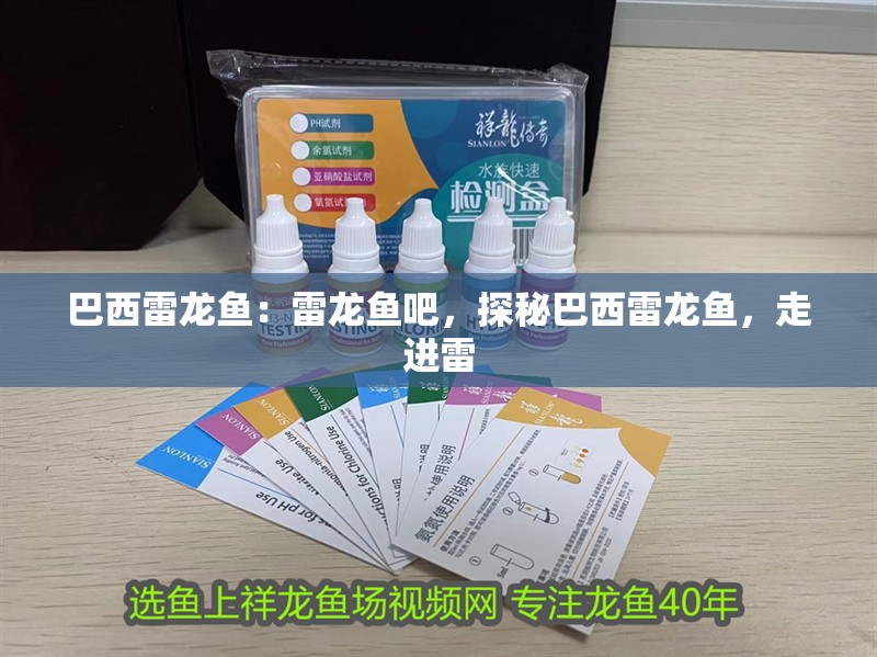 巴西雷龍魚：雷龍魚吧，探秘巴西雷龍魚，走進雷