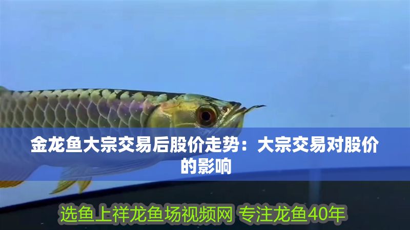 金龍魚大宗交易后股價走勢：大宗交易對股價的影響