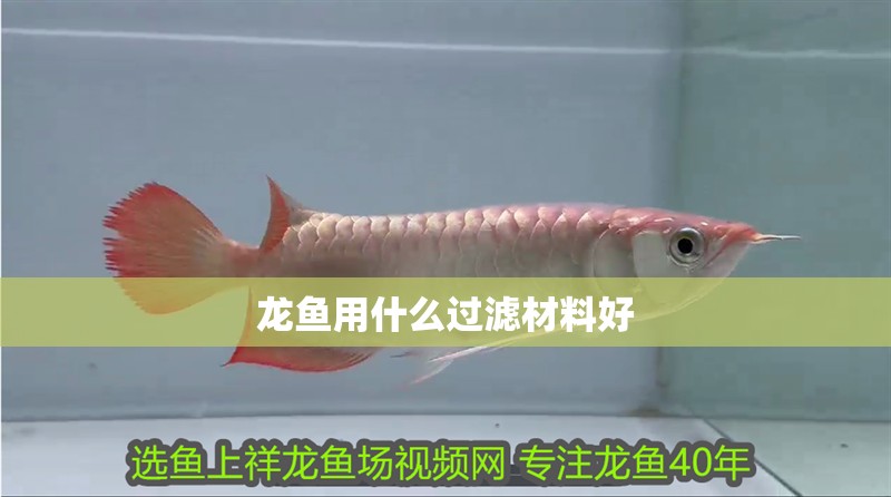 龍魚用什么過濾材料好