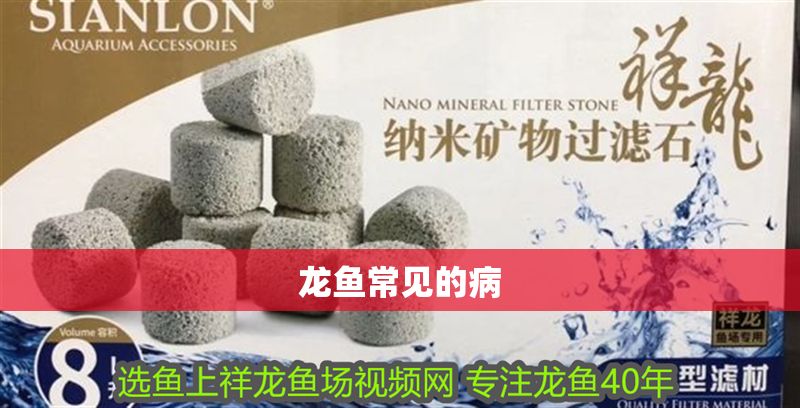 龍魚常見的病 龍魚百科 第2張 龍魚常見的病 龍魚常見的病 龍魚百科 第2張
