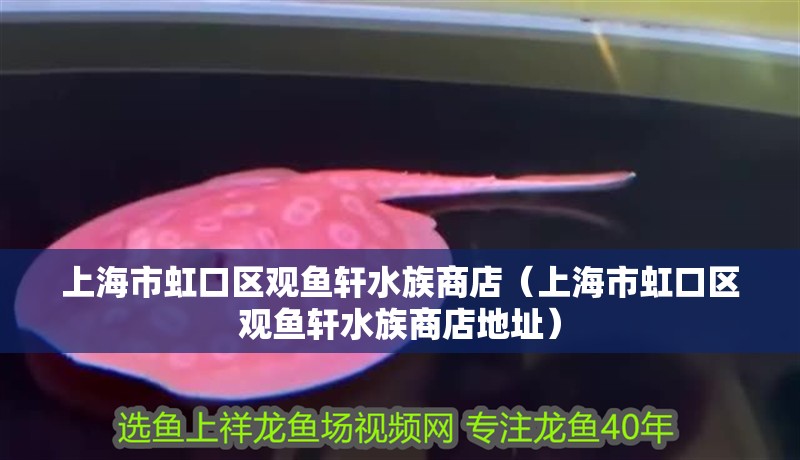 上海市虹口區(qū)觀魚軒水族商店（上海市虹口區(qū)觀魚軒水族商店地址）