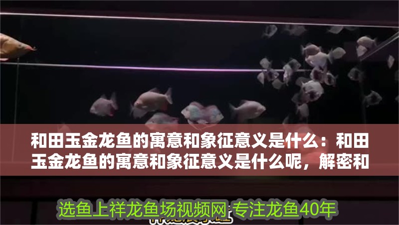 和田玉金龍魚的寓意和象征意義是什么：和田玉金龍魚的寓意和象征意義是什么呢，解密和田玉金龍魚的吉祥寓意與深層象征