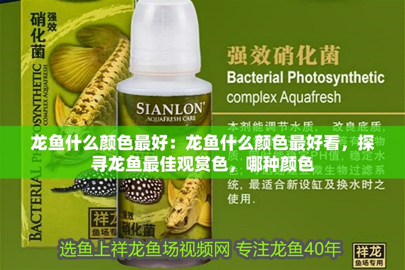 龍魚什么顏色最好：龍魚什么顏色最好看，探尋龍魚最佳觀賞色，哪種顏色