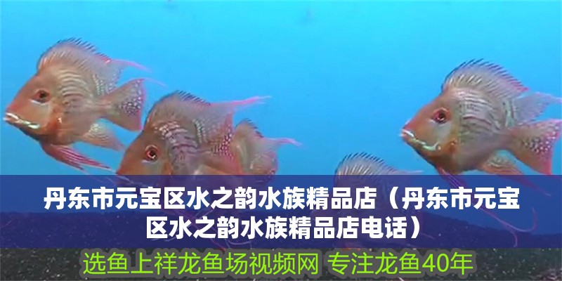 丹東市元寶區(qū)水之韻水族精品店（丹東市元寶區(qū)水之韻水族精品店電話）