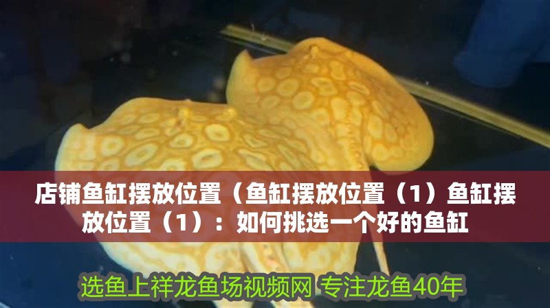 店鋪魚(yú)缸擺放位置（魚(yú)缸擺放位置（1）魚(yú)缸擺放位置（1）：如何挑選一個(gè)好的魚(yú)缸
