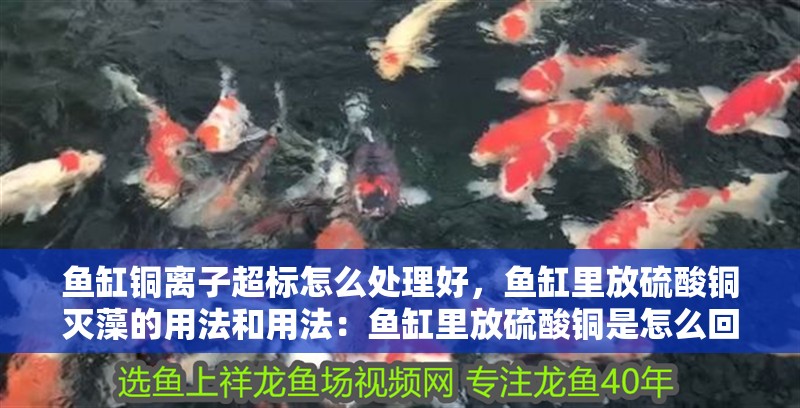 魚缸銅離子超標(biāo)怎么處理好，魚缸里放硫酸銅滅藻的用法和用法：魚缸里放硫酸銅是怎么回事？