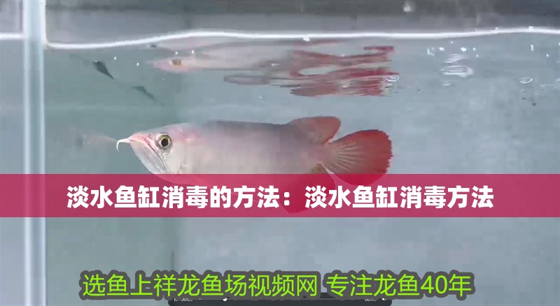 淡水魚缸消毒的方法：淡水魚缸消毒方法 淡水魚缸消毒的方法：淡水魚缸消毒方法 魚缸百科