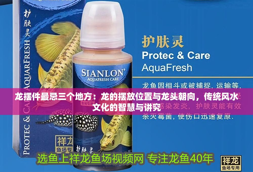 龍擺件最忌三個地方：龍的擺放位置與龍頭朝向，傳統風水文化的智慧與講究