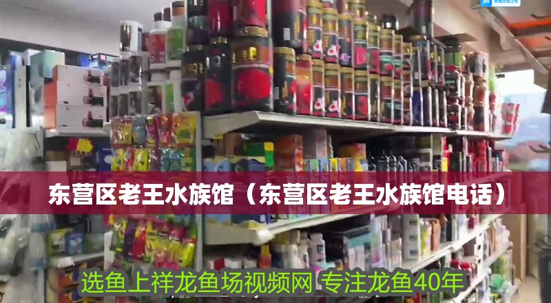 東營區老王水族館（東營區老王水族館電話）