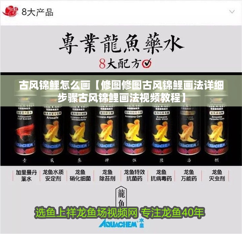 古風錦鯉怎么畫【修圖修圖古風錦鯉畫法詳細步驟古風錦鯉畫法視頻教程】