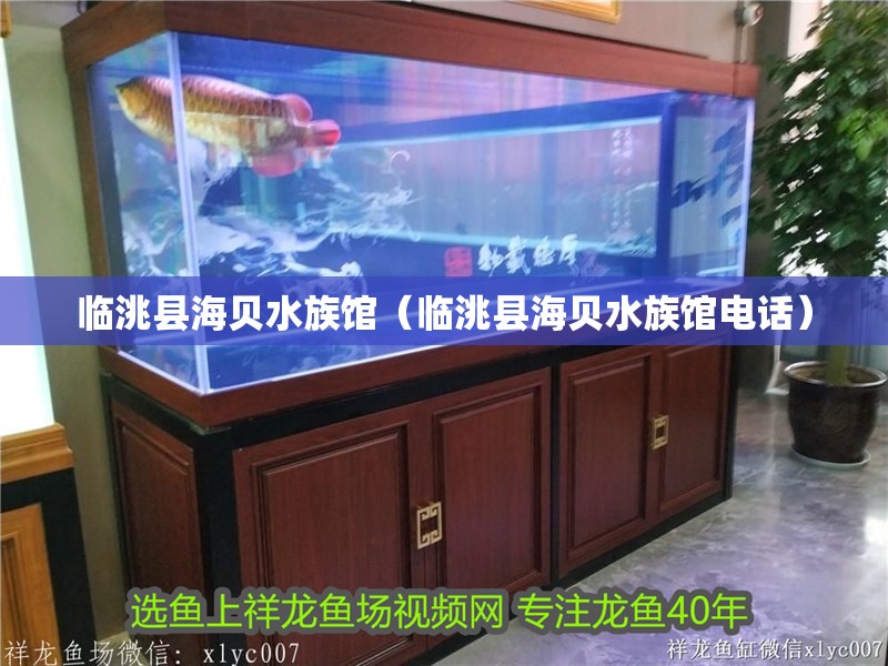 臨洮縣海貝水族館（臨洮縣海貝水族館電話）