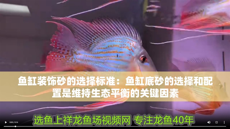 魚缸裝飾砂的選擇標準：魚缸底砂的選擇和配置是維持生態平衡的關鍵因素
