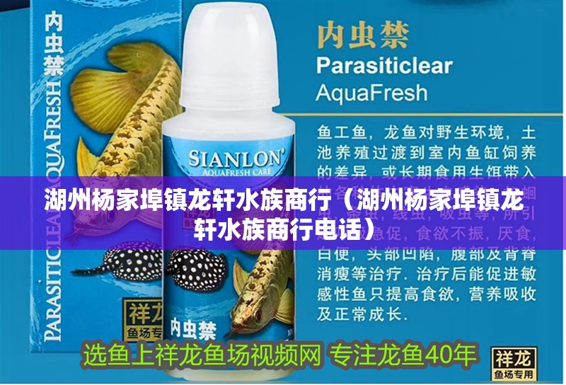 湖州楊家埠鎮(zhèn)龍軒水族商行（湖州楊家埠鎮(zhèn)龍軒水族商行電話）