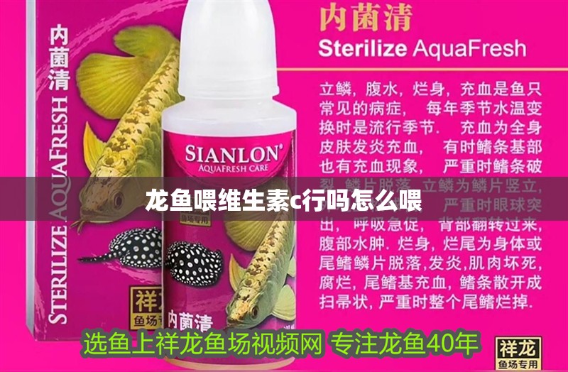 龍魚喂維生素c行嗎怎么喂