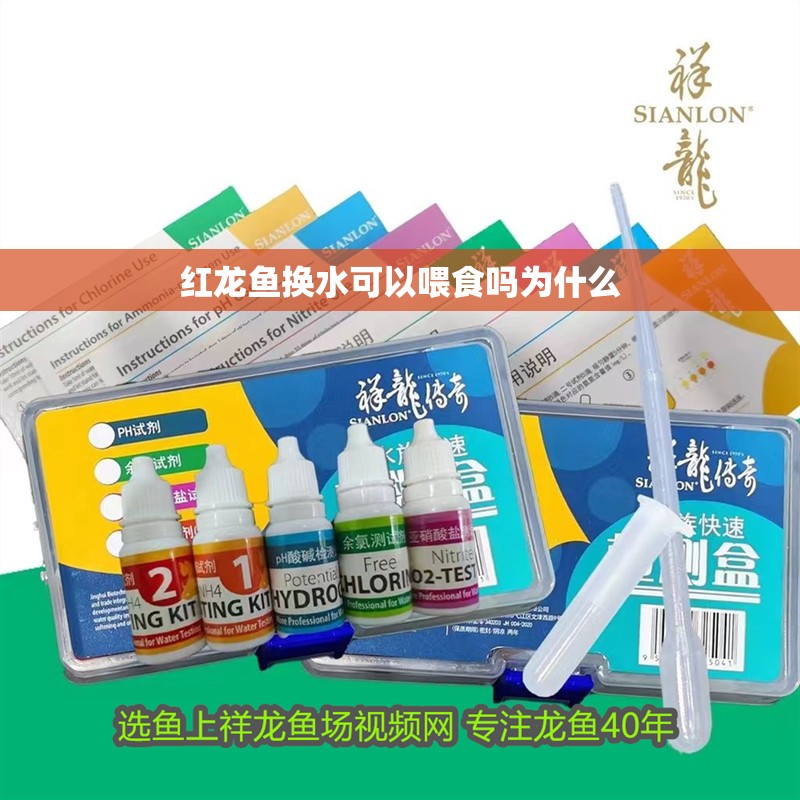 紅龍魚換水可以喂食嗎為什么