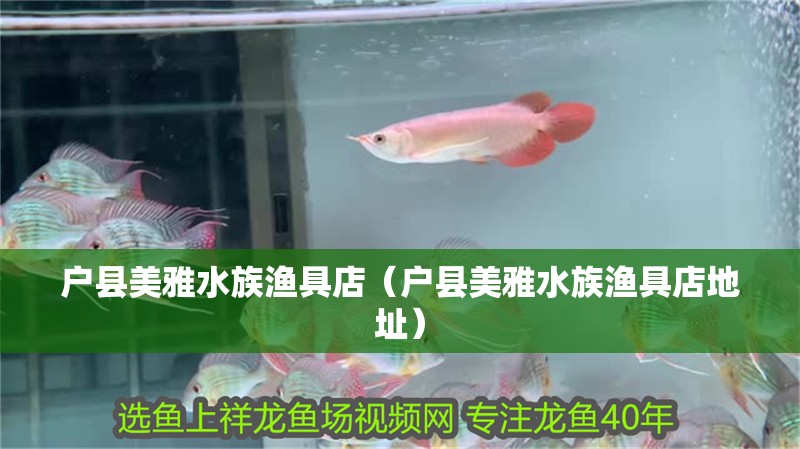 戶縣美雅水族漁具店（戶縣美雅水族漁具店地址）