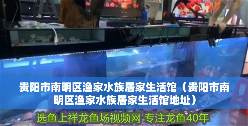 貴陽市南明區(qū)漁家水族居家生活館（貴陽市南明區(qū)漁家水族居家生活館地址）