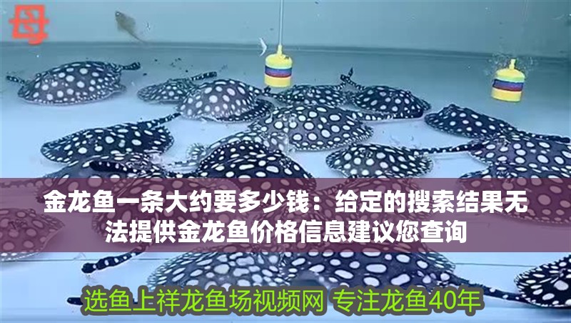 金龍魚一條大約要多少錢：給定的搜索結果無法提供金龍魚價格信息建議您查詢