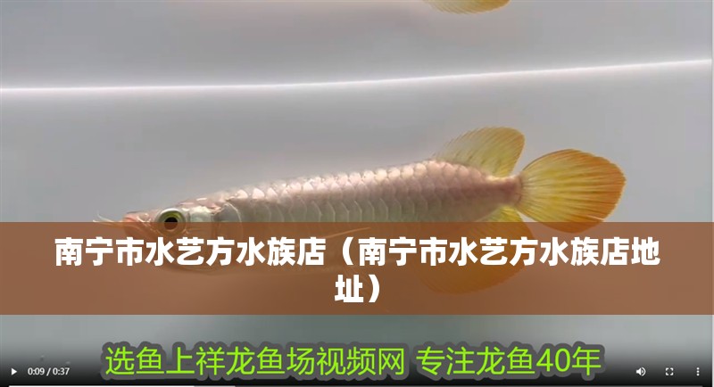 南寧市水藝方水族店（南寧市水藝方水族店地址）