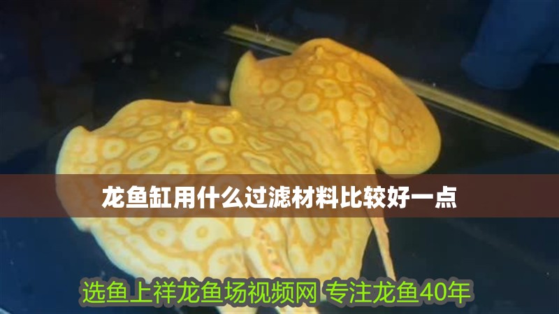 龍魚缸用什么過(guò)濾材料比較好一點(diǎn)