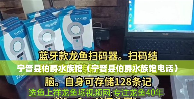 寧晉縣伯爵水族館（寧晉縣伯爵水族館電話）