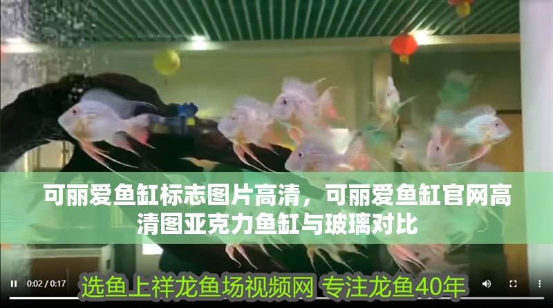 可麗愛魚缸標志圖片高清，可麗愛魚缸官網高清圖亞克力魚缸與玻璃對比