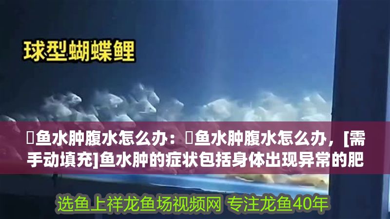 魟魚水腫腹水怎么辦：魟魚水腫腹水怎么辦，[需手動填充]魚水腫的癥狀包括身體出現異常的肥胖或腫大