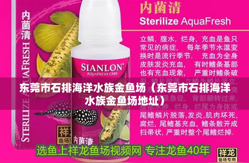 東莞市石排海洋水族金魚場（東莞市石排海洋水族金魚場地址）