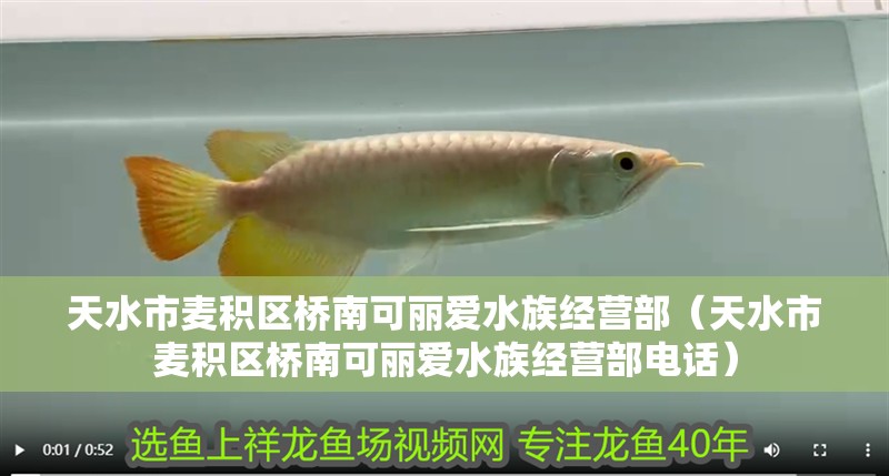 天水市麥積區橋南可麗愛水族經營部（天水市麥積區橋南可麗愛水族經營部電話）