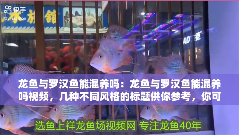 龍魚與羅漢魚能混養嗎：龍魚與羅漢魚能混養嗎視頻，幾種不同風格的標題供你參考，你可以根據需求進行選擇，，深度解析，龍魚和羅漢魚究竟能否混養？附視頻揭秘，龍魚×羅漢魚混養大揭秘！視頻帶你一探究竟，必看！龍魚與羅漢魚能不能混養？視頻給出答案