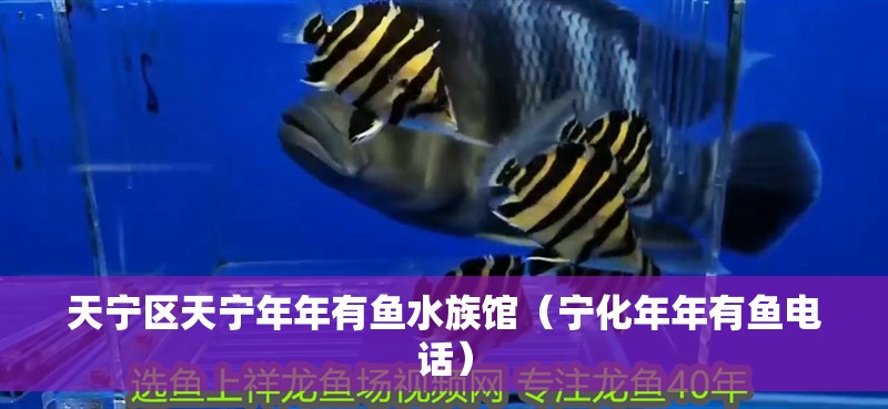 天寧區天寧年年有魚水族館（寧化年年有魚電話）