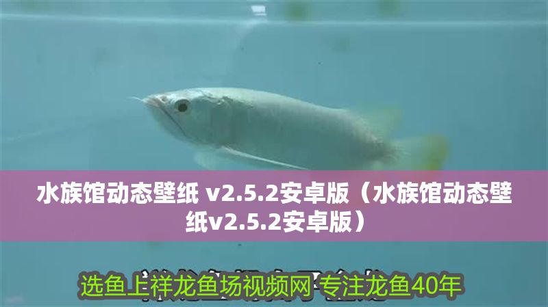 水族館動態壁紙 v2.5.2安卓版（水族館動態壁紙v2.5.2安卓版）