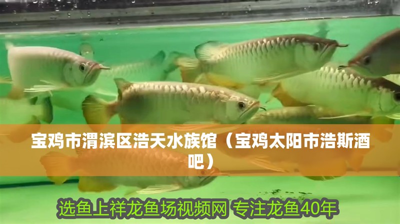 寶雞市渭濱區(qū)浩天水族館（寶雞太陽(yáng)市浩斯酒吧）