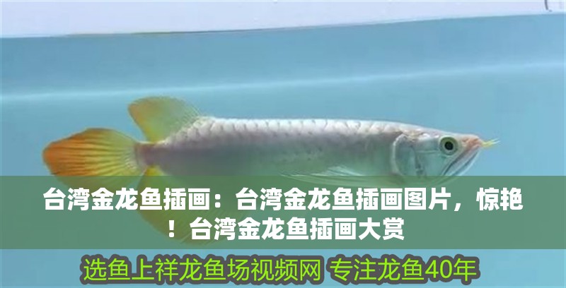 臺灣金龍魚插畫：臺灣金龍魚插畫圖片，驚艷！臺灣金龍魚插畫大賞 臺灣金龍魚插畫：臺灣金龍魚插畫圖片，驚艷！臺灣金龍魚插畫大賞 水族問答