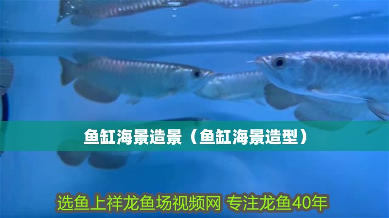 魚缸海景造景（魚缸海景造型）