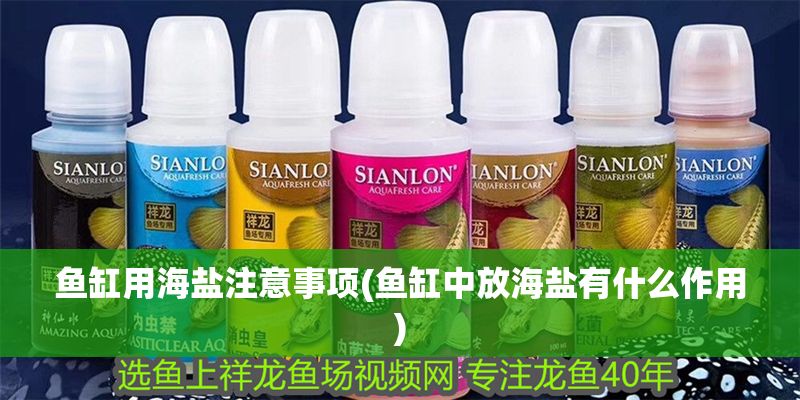 魚缸用海鹽注意事項(魚缸中放海鹽有什么作用)