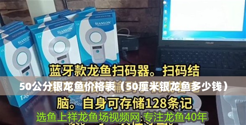 50公分銀龍魚價(jià)格表（50厘米銀龍魚多少錢）