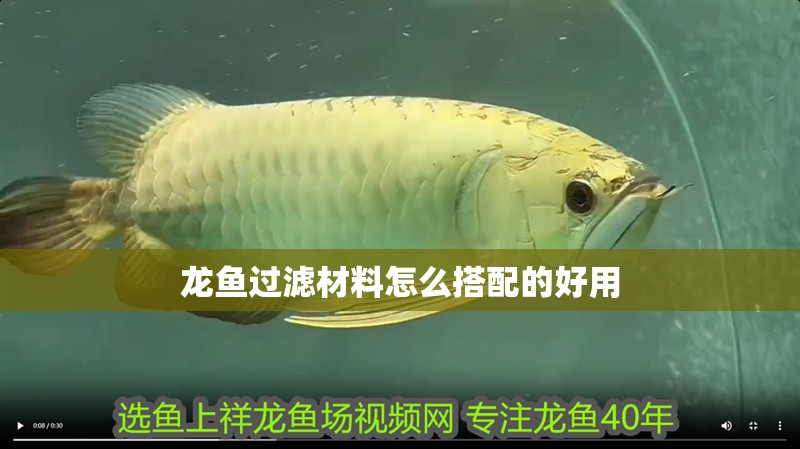 龍魚過濾材料怎么搭配的好用