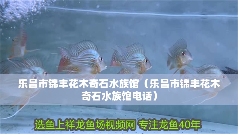 樂昌市錦豐花木奇石水族館（樂昌市錦豐花木奇石水族館電話）