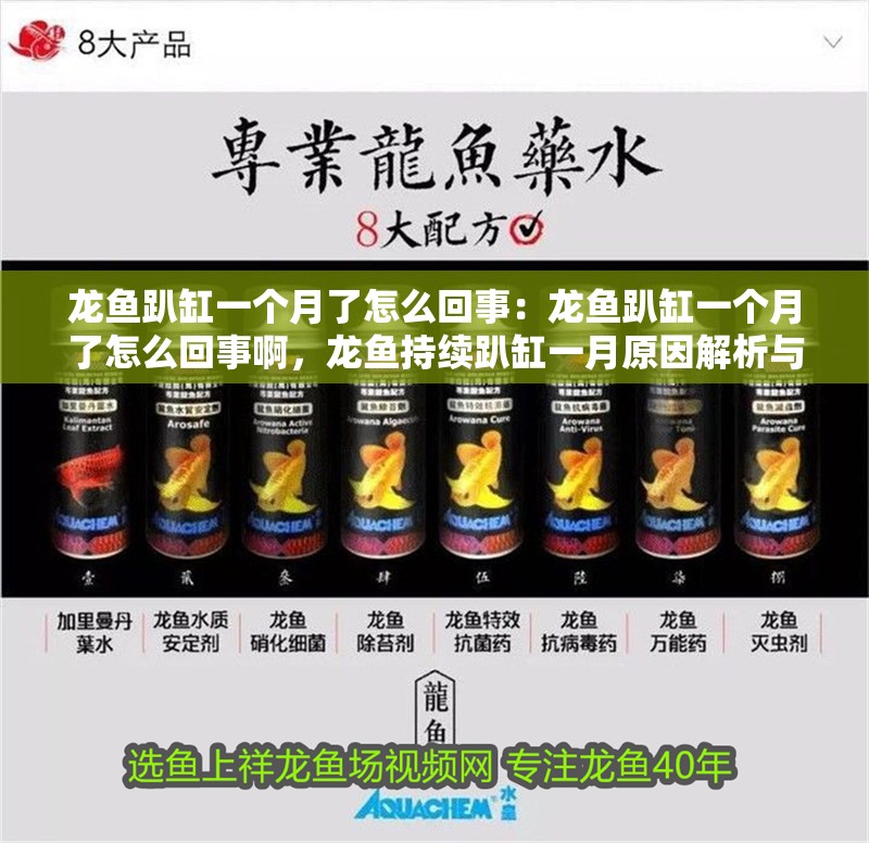 龍魚趴缸一個月了怎么回事：龍魚趴缸一個月了怎么回事啊，龍魚持續趴缸一月原因解析與