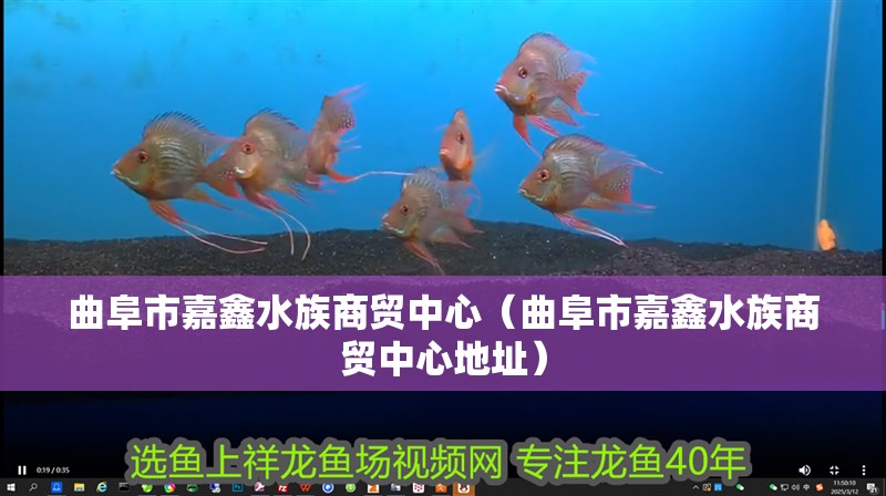 曲阜市嘉鑫水族商貿中心（曲阜市嘉鑫水族商貿中心地址）