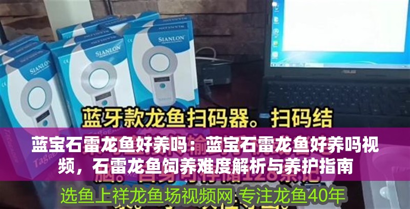 藍(lán)寶石雷龍魚好養(yǎng)嗎：藍(lán)寶石雷龍魚好養(yǎng)嗎視頻，石雷龍魚飼養(yǎng)難度解析與養(yǎng)護(hù)指南