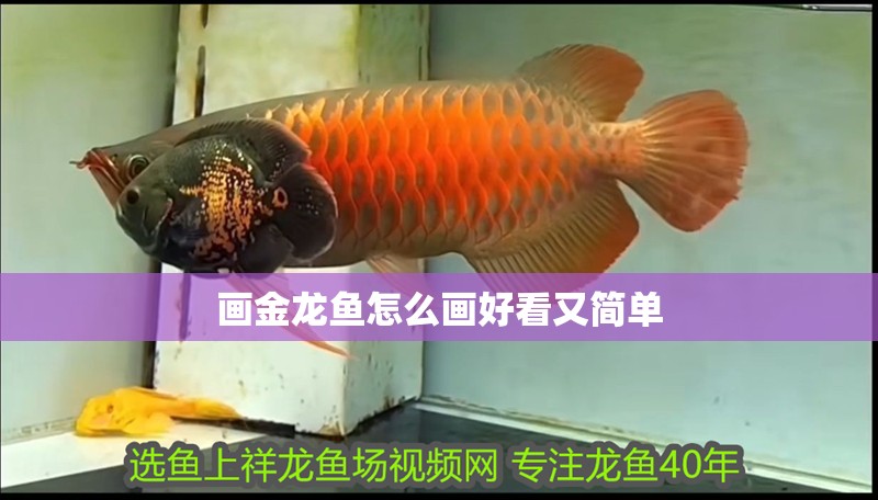 畫金龍魚怎么畫好看又簡單