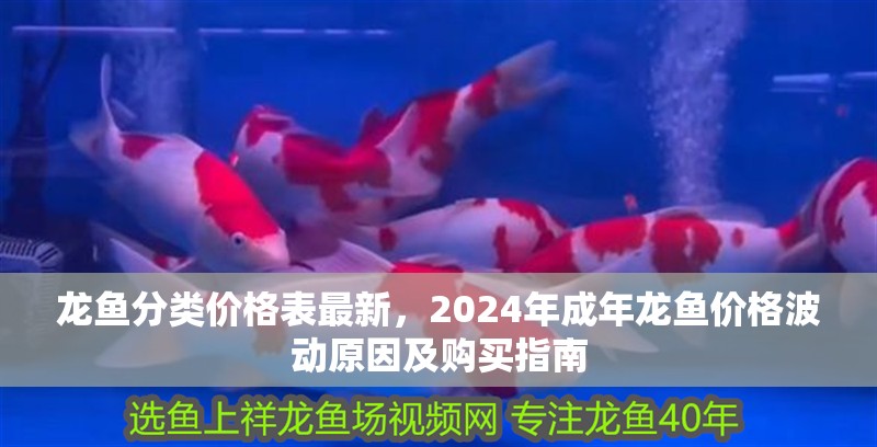 龍魚分類價格表最新,2024年成年龍魚價格波動原因及購買指南 龍魚百科 第6張 龍魚分類價格表最新,2024年成年龍魚價格波動原因及購買指南 龍魚分類價格表最新,2024年成年龍魚價格波動原因及購買指南 龍魚百科 第6張