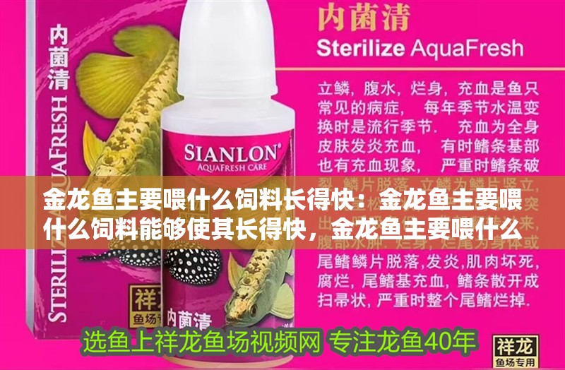 金龍魚主要喂什么飼料長得快：金龍魚主要喂什么飼料能夠使其長得快，金龍魚主要喂什么飼料長得快