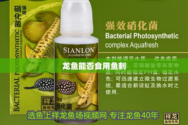 龍魚能否食用魚刺